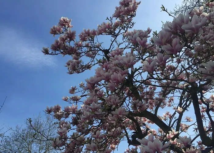 Hotel Ramor Garni Duisburg